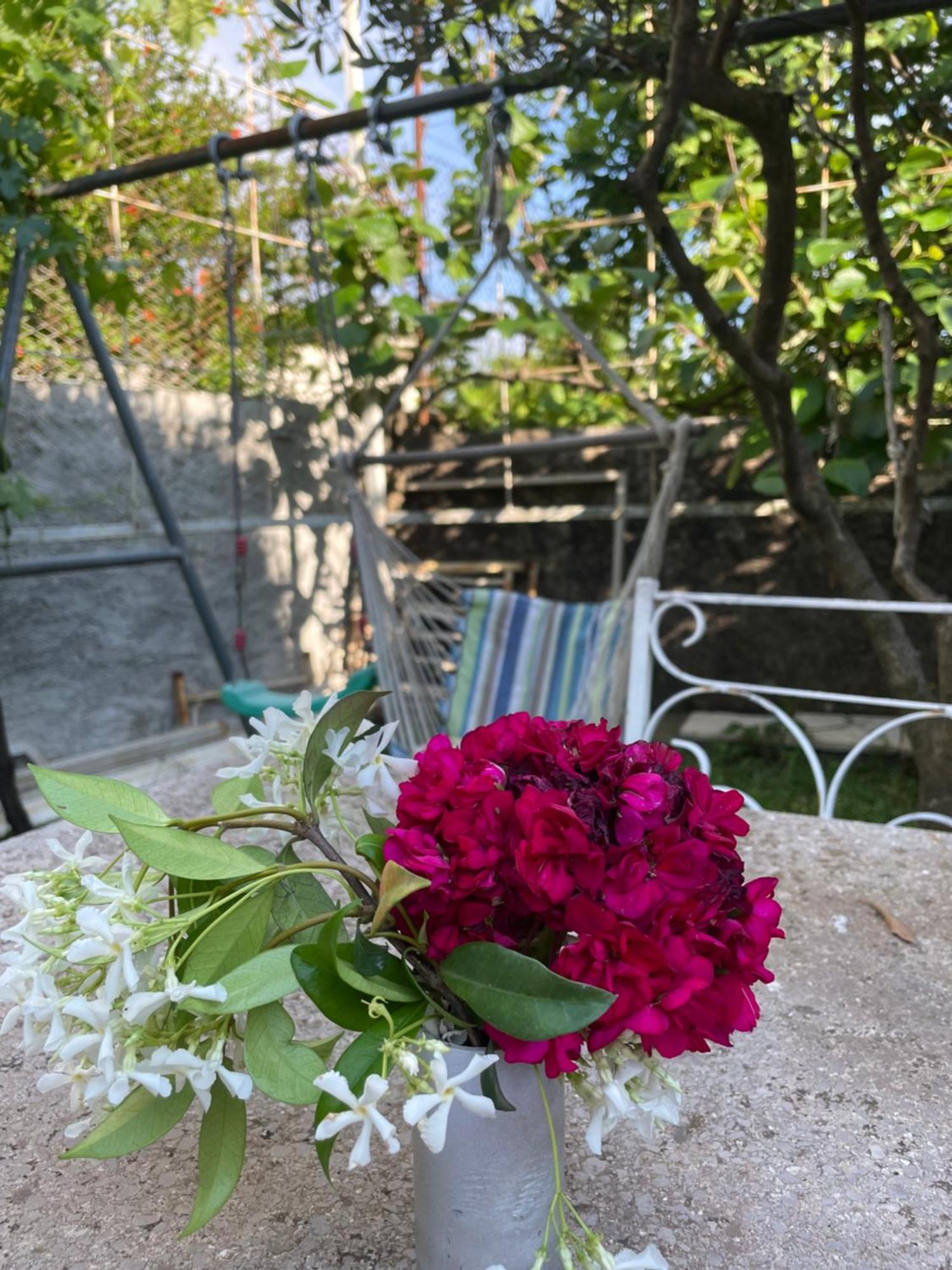 Vila Nela Shkodër Exteriér fotografie