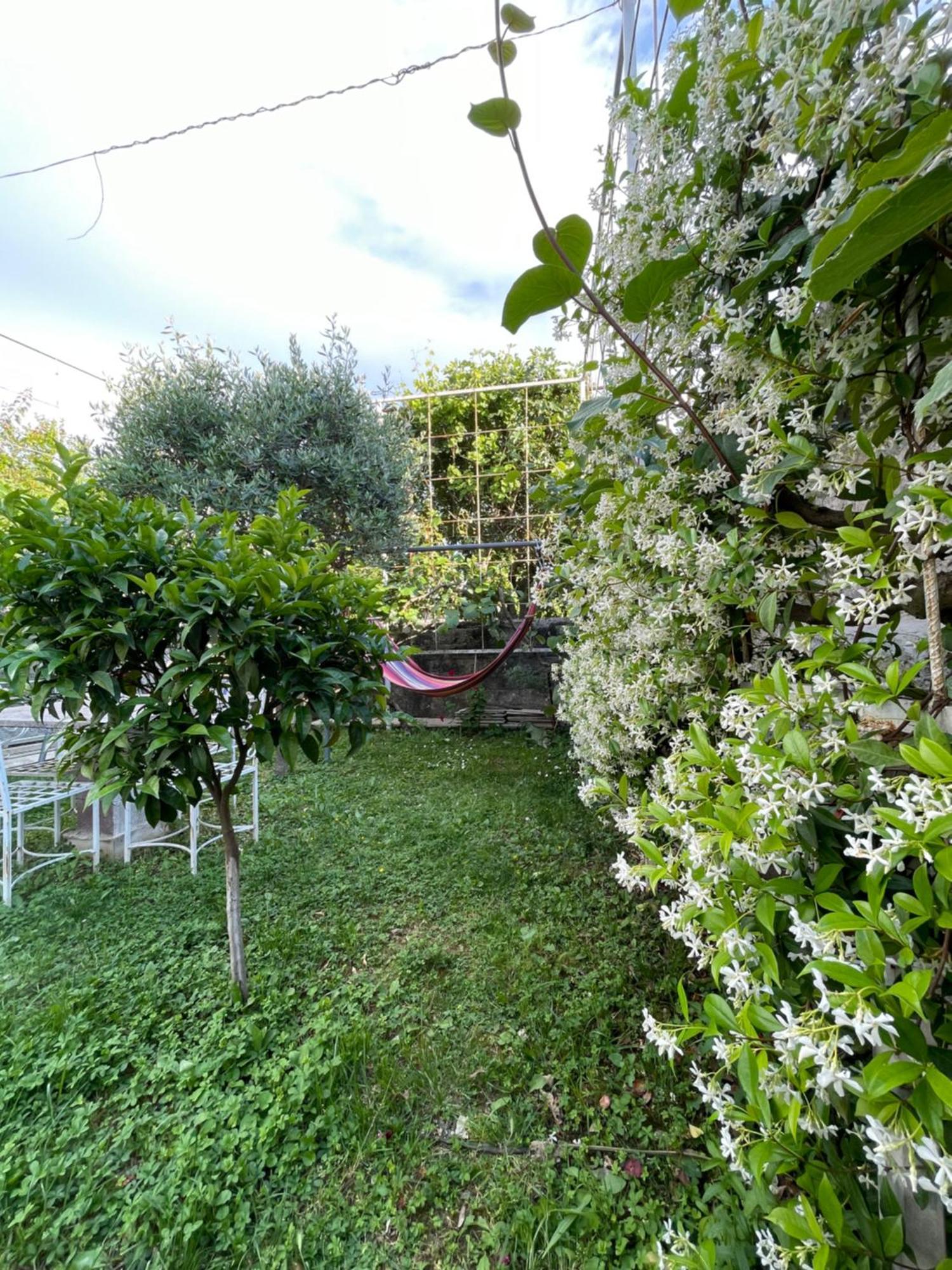 Vila Nela Shkodër Exteriér fotografie